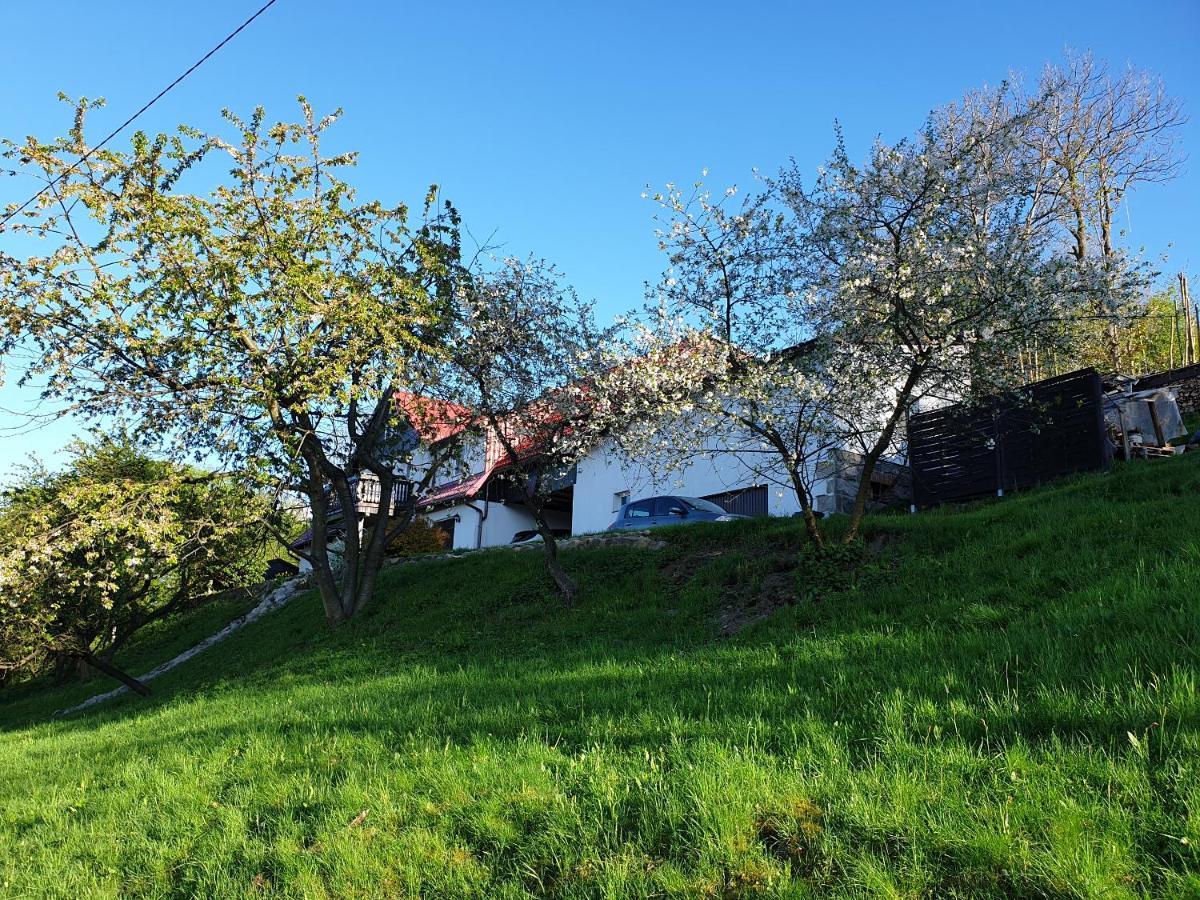 Pokoje Karkonosze برزيسكا المظهر الخارجي الصورة